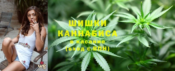 гидра Алексеевка